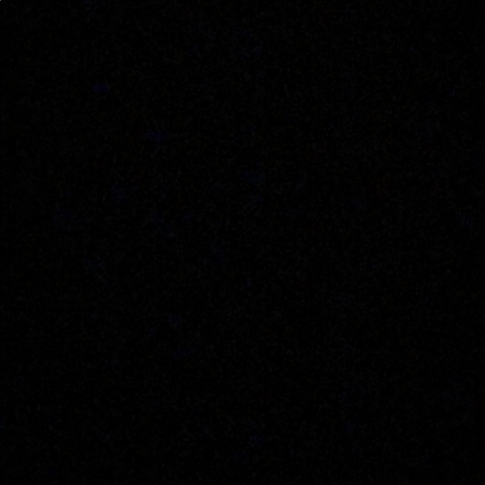 Meet your Posher, Rashawn